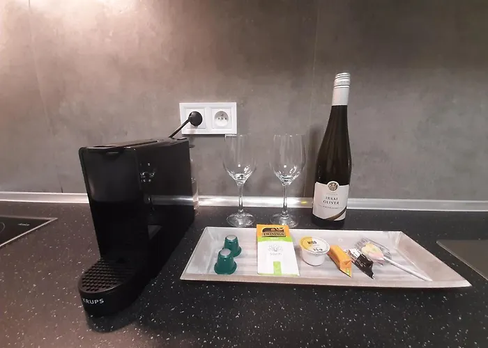 Appartement Luxusni Rezidence 1351 Pardubice